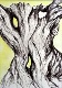 47 - Liz Simmonds - The Old Olive Tree - Pen and wash.jpg